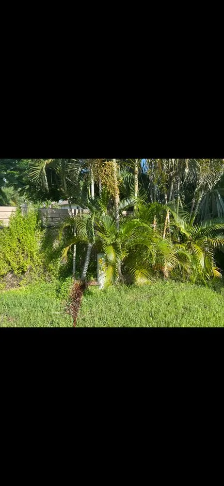 Expert landscaping services for beautiful yards in Cape Coral, FL by Hale solutions