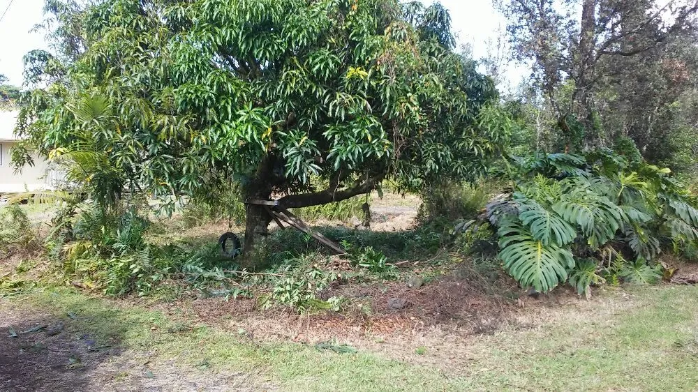 Affordable garden landscaping in Keaau, HI - Haleakala Yard Service