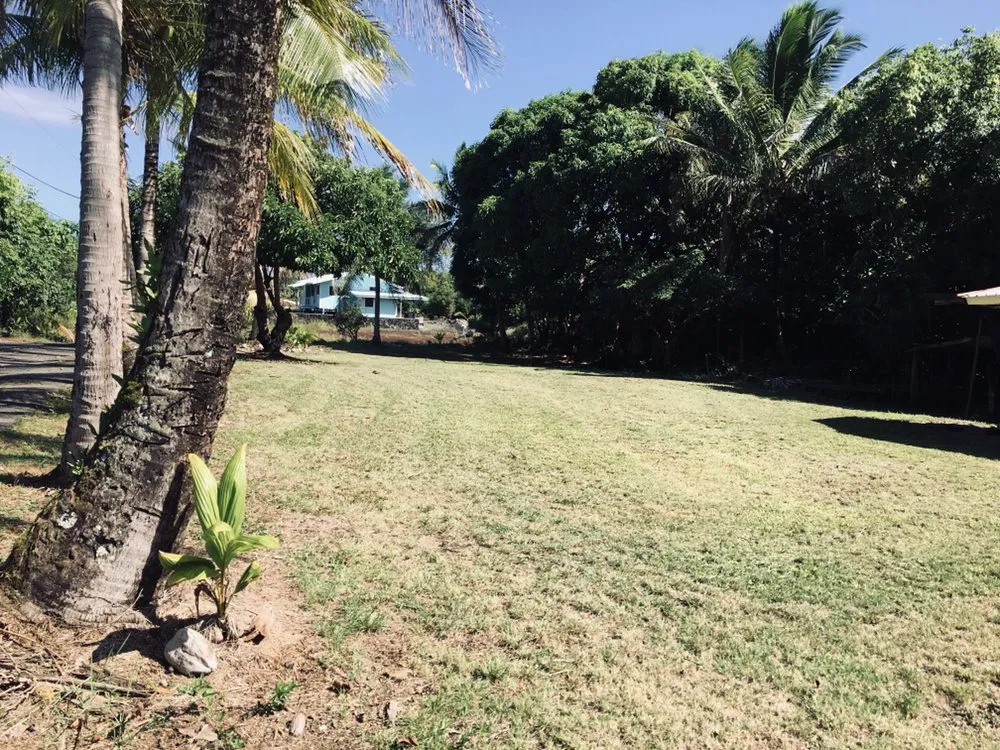 Affordable yard cleanup service in Keaau, HI by Haleakala Yard Service