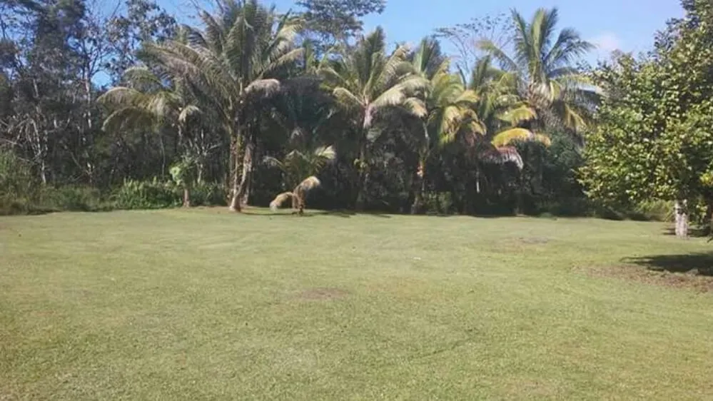 Affordable yard maintenance near you across Keaau, HI - Haleakala Yard Service