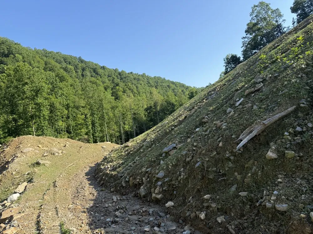 Professional landscaping services in London, KY - Hale's Hydroseeding