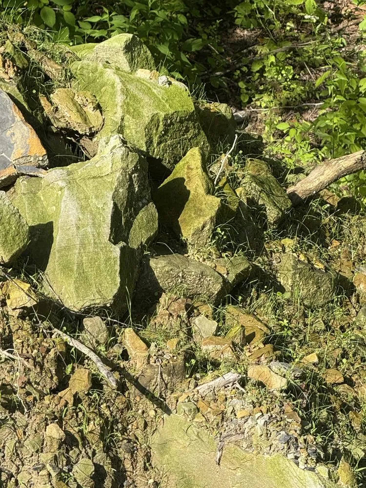 Professional landscape design in London, KY by Hale's Hydroseeding