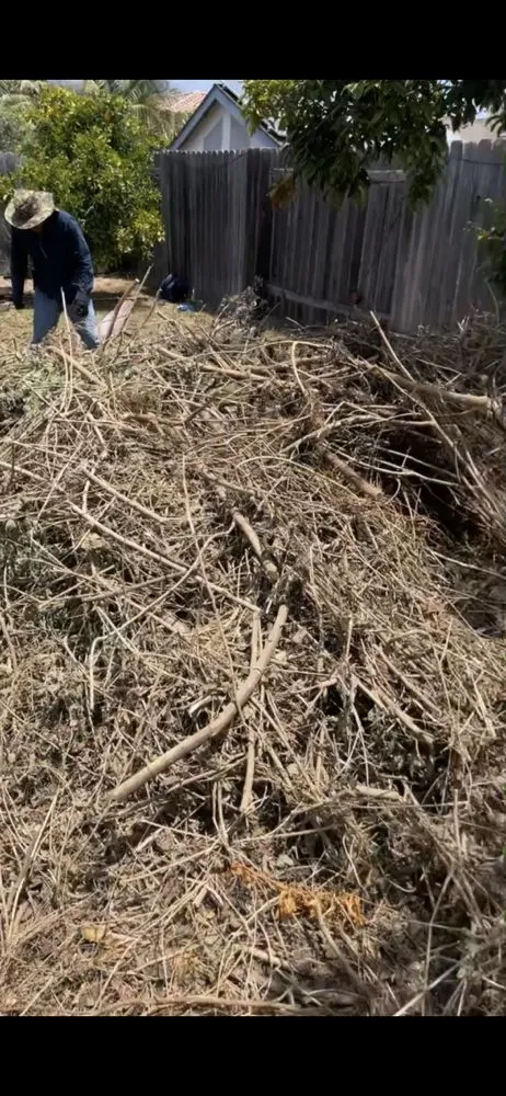 Trusted residential landscaping near you in Santa Barbara, CA by Hale's Landscaping