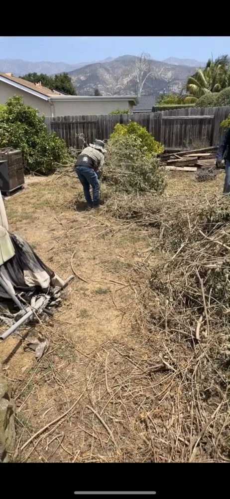 Reliable landscape design in Santa Barbara, CA by Hale's Landscaping