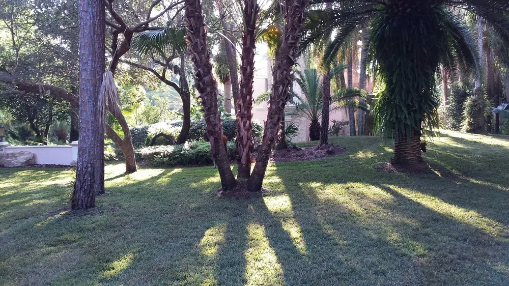 Top-rated residential landscaping in Winter Haven, FL - Hale's Lawn Service