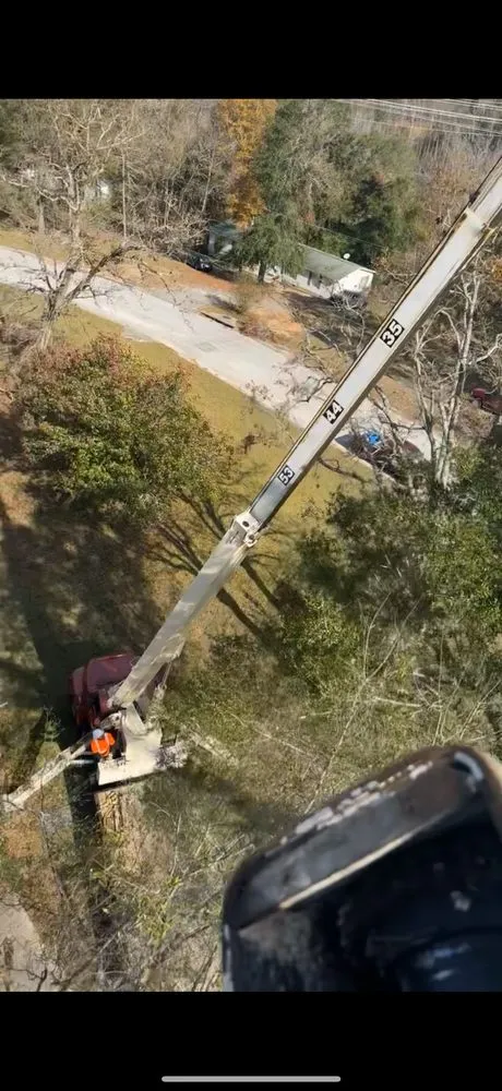 Professional outdoor landscaping with custom design across Stockton, AL - Hale's Professional Lawn and Tree Service