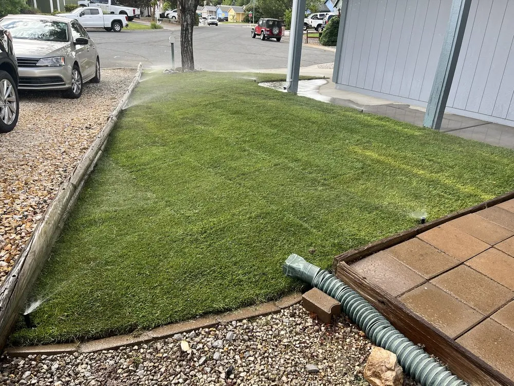 Professional yard cleanup service in Sparks, NV by Half Moon Gardening & Landscapes
