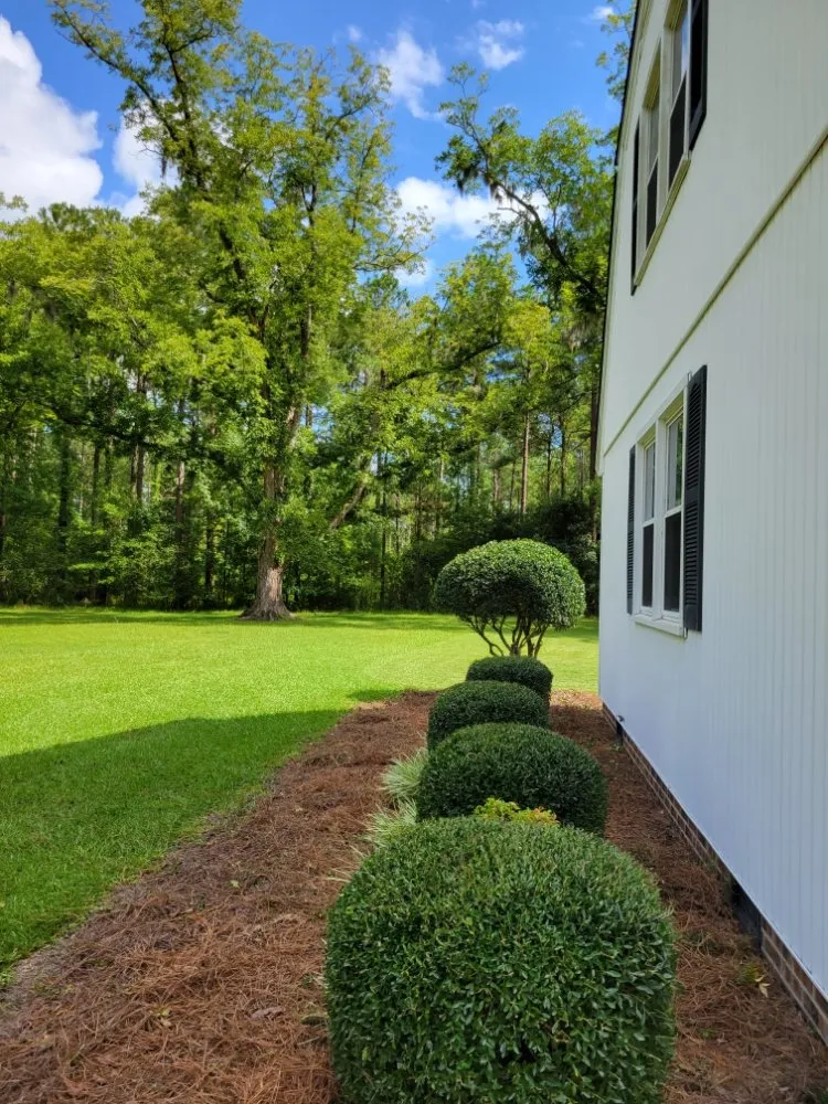 Local yard cleanup service for homes across Conway, SC - Half Moon Lawn Care