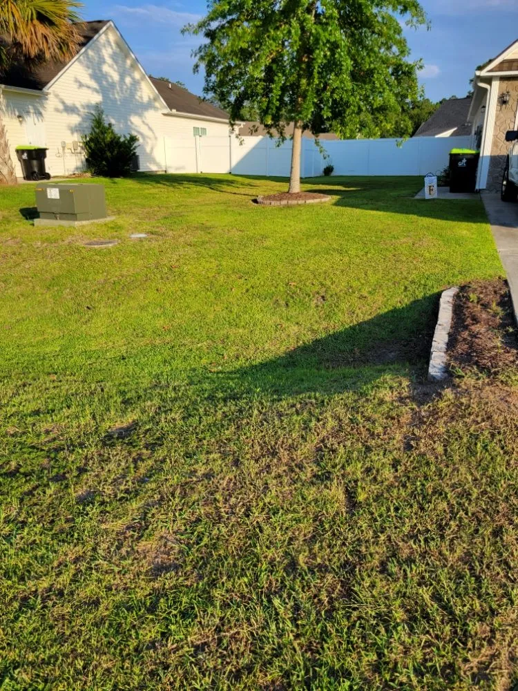 Expert lawn care service experts serving Conway, SC - Half Moon Lawn Care