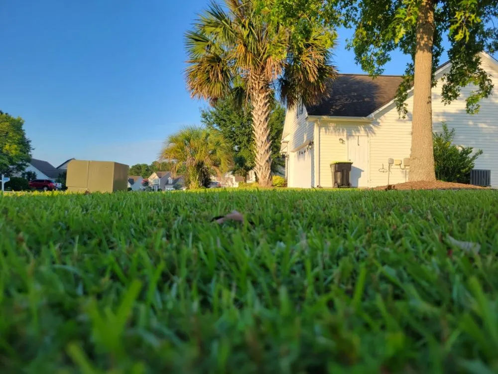 Local landscape design in Conway, SC by Half Moon Lawn Care