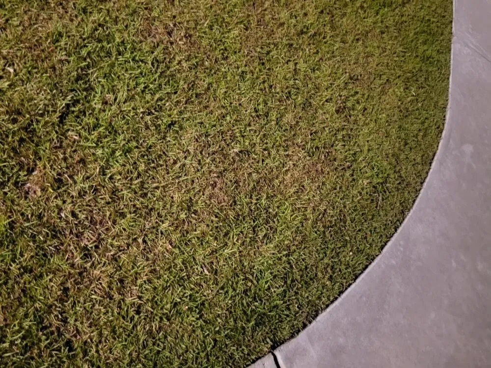 Reliable landscaping services in Conway, SC - Half Moon Lawn Care