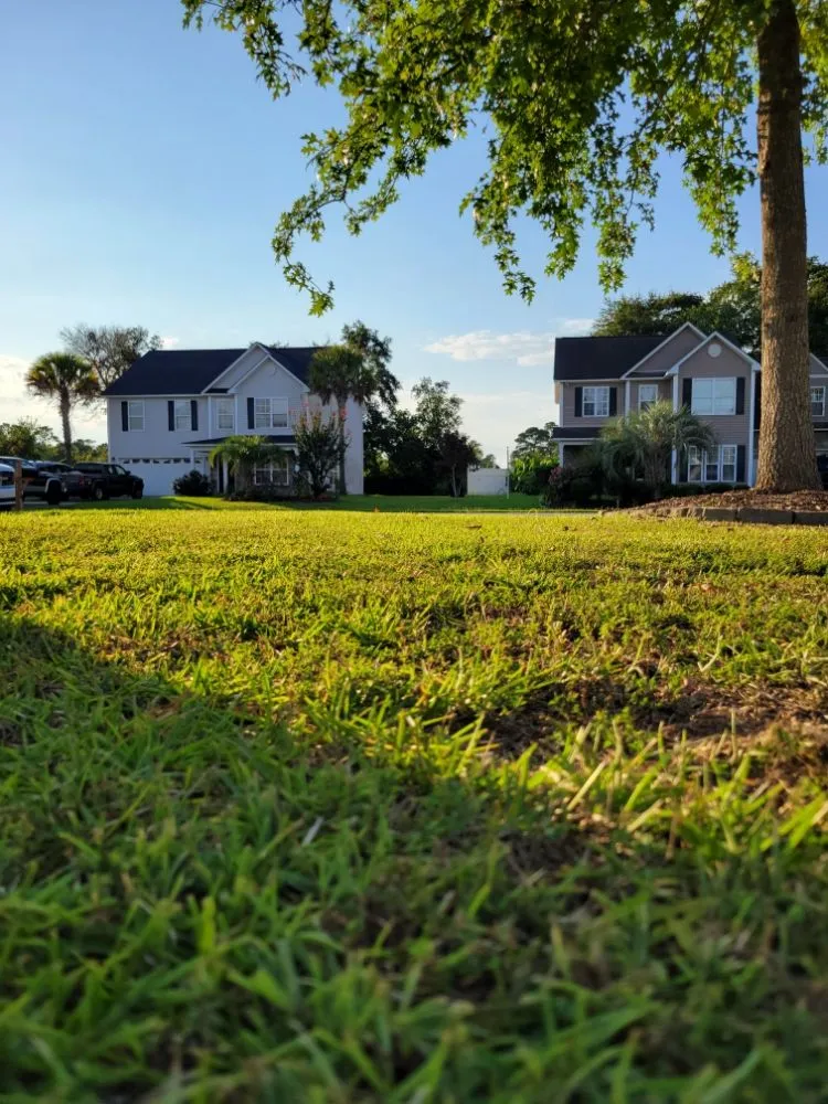 Reliable residential landscaping for year-round maintenance across Conway, SC - Half Moon Lawn Care