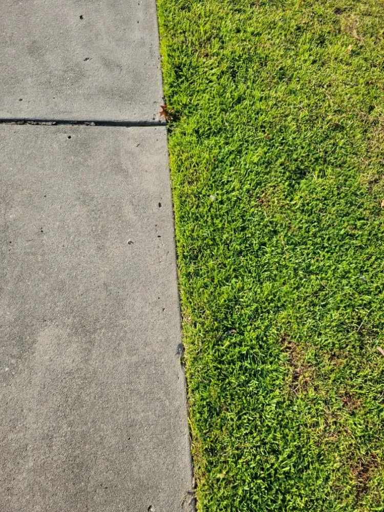 Reliable landscaping services in Conway, SC by Half Moon Lawn Care