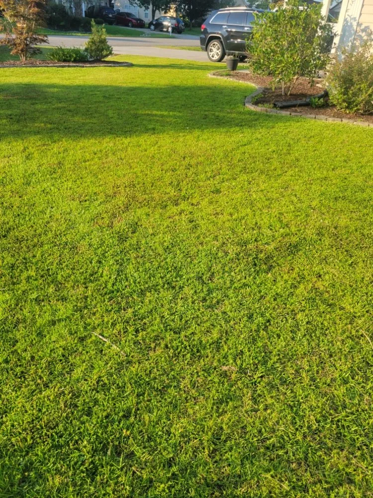 Top-rated landscape installation for beautiful yards in Conway, SC by Half Moon Lawn Care