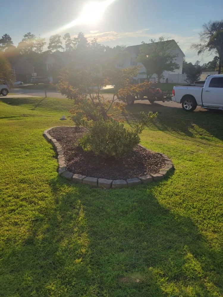 Reliable lawn mowing service in Conway, SC by Half Moon Lawn Care