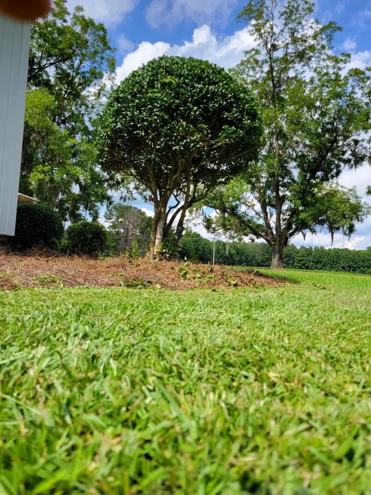 Top-rated lawn care service in Conway, SC by Half Moon Lawn Care