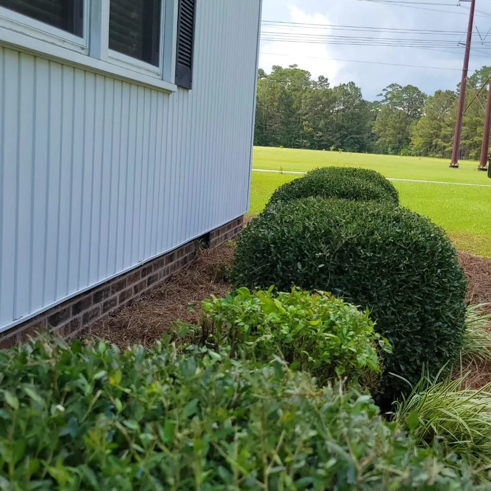 Local garden landscaping in Conway, SC - Half Moon Lawn Care