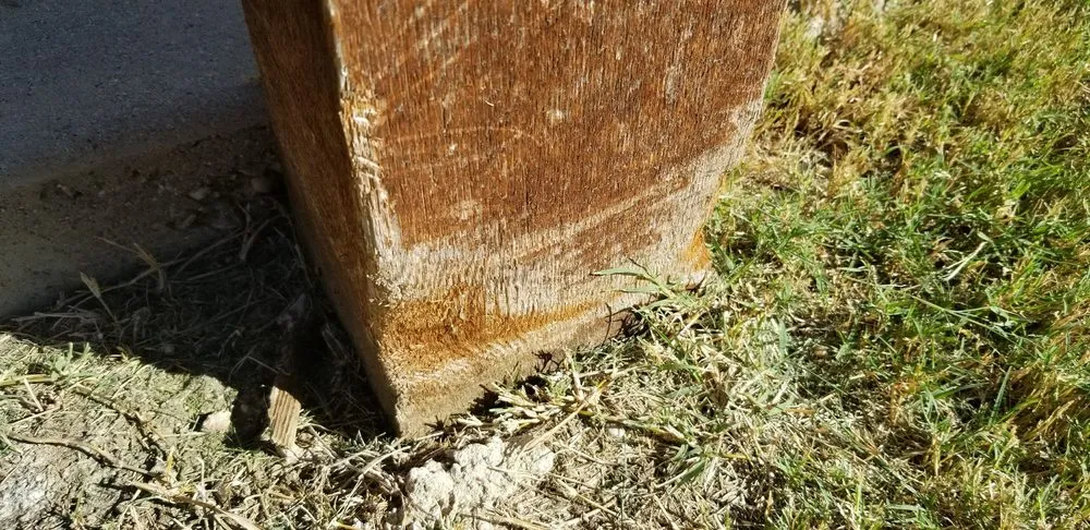 Affordable landscape installation experts serving Keller, TX - Half Price Mowing