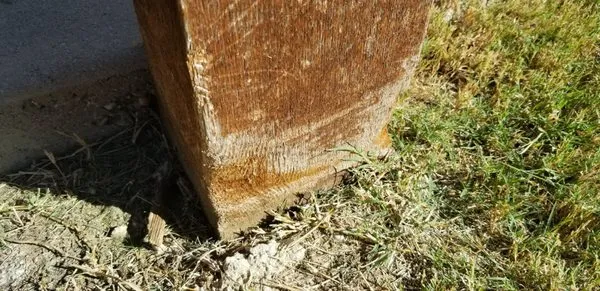 Half Price Mowing Logo