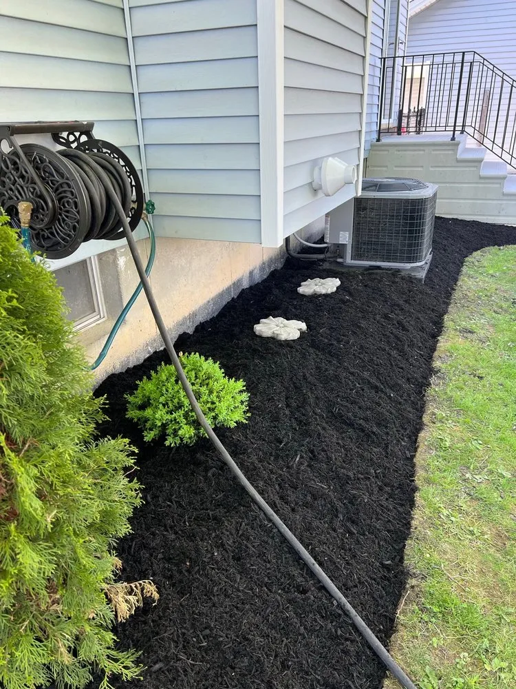 Affordable yard cleanup service in Sanborn, NY by Halford Services