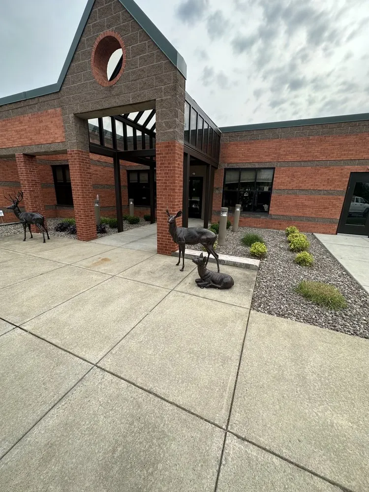 Trusted yard maintenance for year-round maintenance in Sanborn, NY by Halford Services