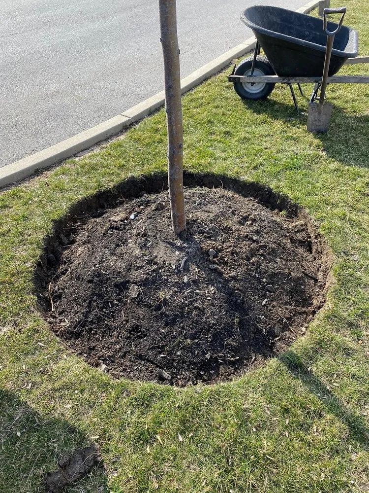 Local outdoor landscaping in Sanborn, NY - Halford Services