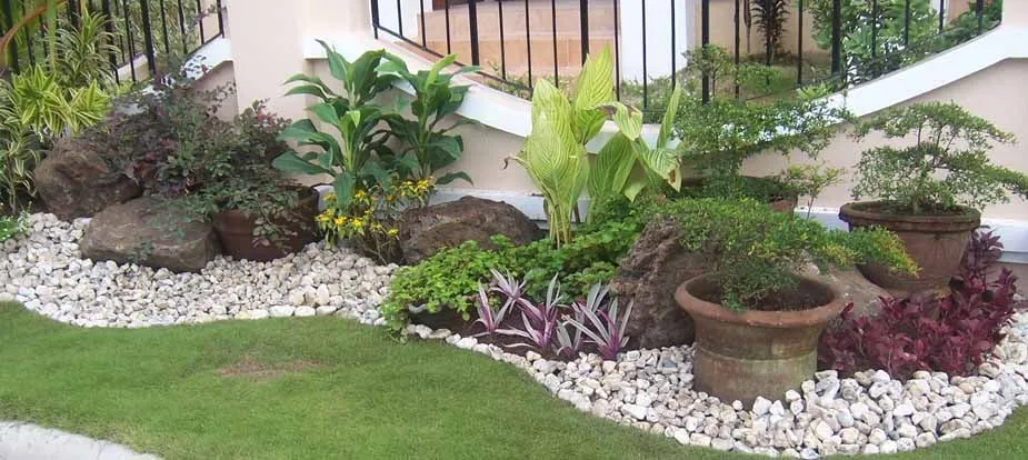 Expert lawn care service for beautiful yards in Daytona Beach, FL by Halifax Landscaping