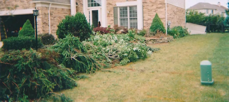 Custom landscaping services in Daytona Beach, FL by Halifax Landscaping