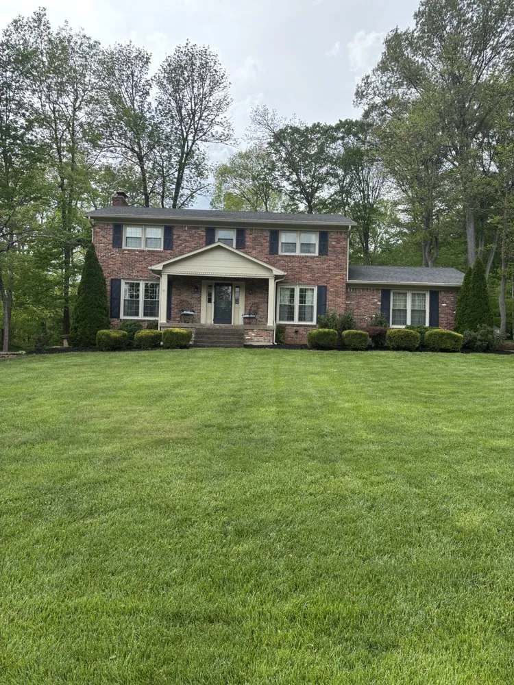 Top-rated yard cleanup service experts serving La Grange, KY - Hall & Green Landscape