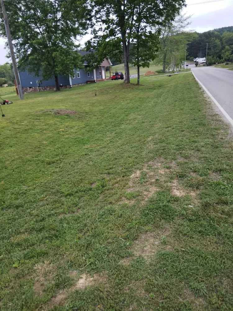 Expert outdoor landscaping experts serving Trenton, GA - Hall & Son