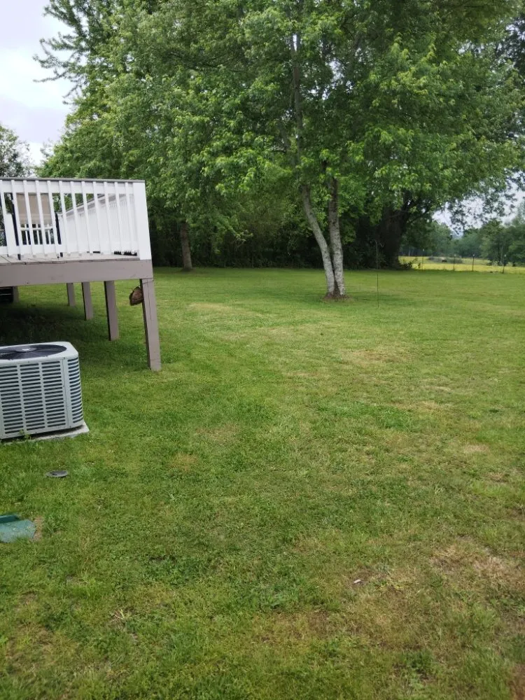 Expert lawn care service in Trenton, GA by Hall & Son