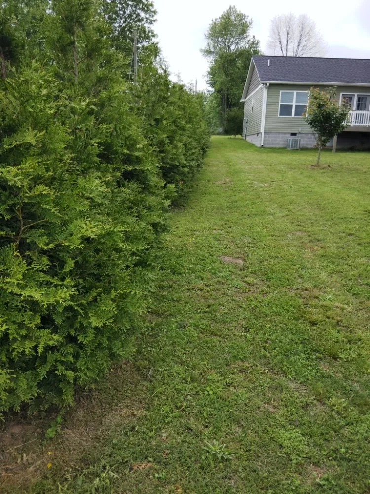 Top-rated lawn mowing service for year-round maintenance in Trenton, GA by Hall & Son