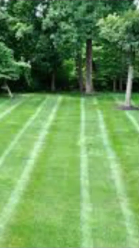 Top-rated landscape design for residential properties in Sevierville, TN by Hall and Son's Lawn Care & Fencing