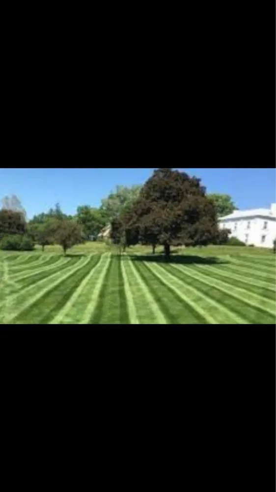 Trusted yard cleanup service in Sevierville, TN by Hall and Son's Lawn Care & Fencing