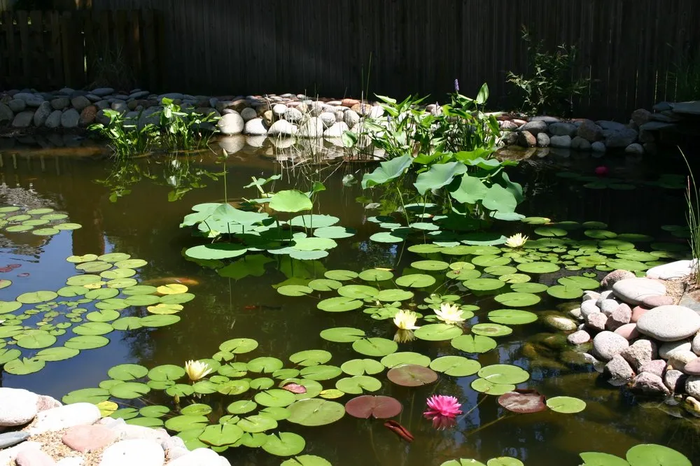 Professional lawn mowing service for year-round maintenance across Belton, MO - Hall Brothers Landscaping & Construction