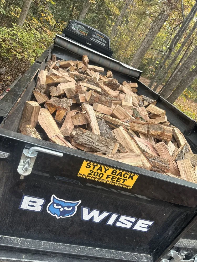 Local yard cleanup service for year-round maintenance in Bumpass, VA by Hall Family Hauling