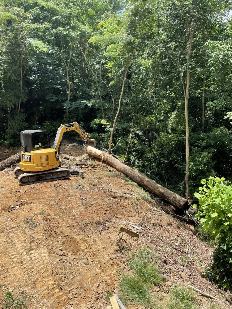 Top-rated yard maintenance in Bessemer, AL - Hall Hauling & Construction