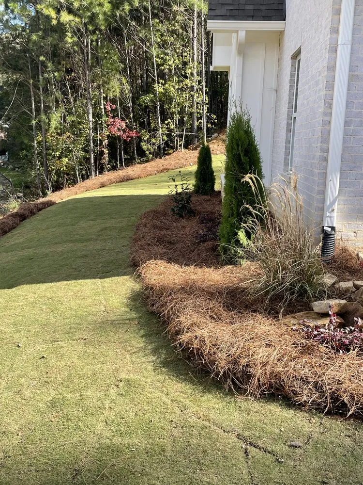 Affordable landscaping services in Bessemer, AL by Hall Hauling & Construction