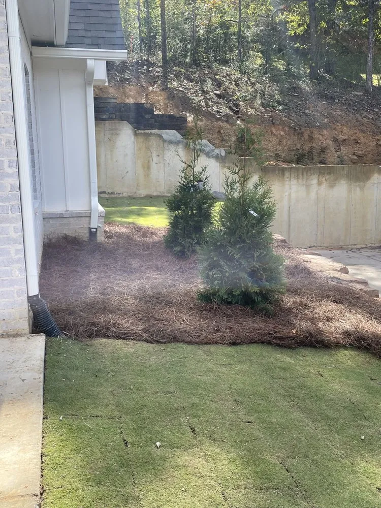 Local yard maintenance experts serving Bessemer, AL - Hall Hauling & Construction