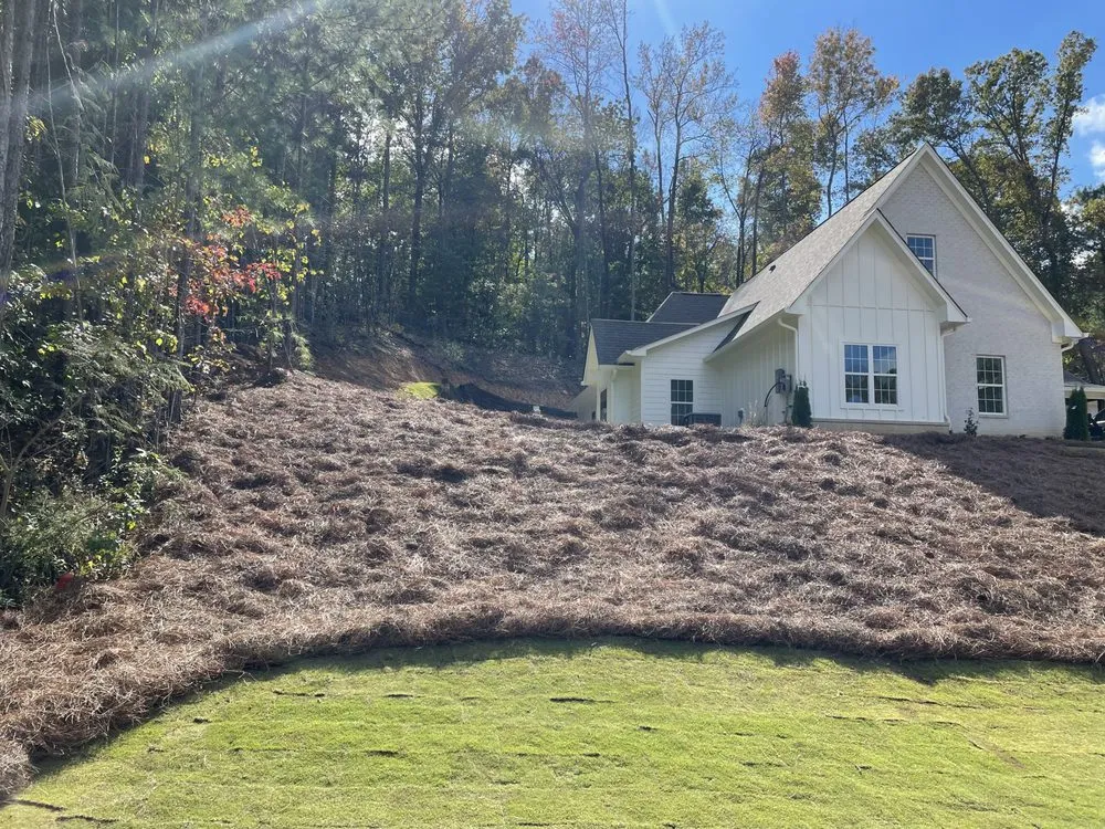 Affordable yard maintenance for residential properties across Bessemer, AL - Hall Hauling & Construction