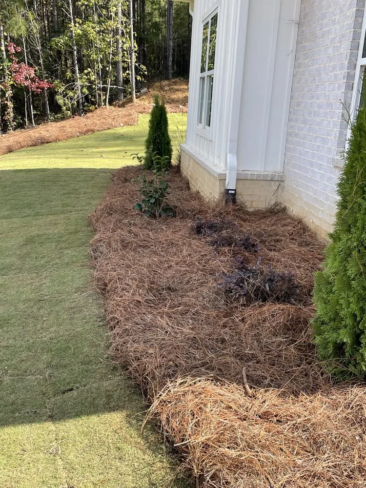 Trusted outdoor landscaping in Bessemer, AL by Hall Hauling & Construction
