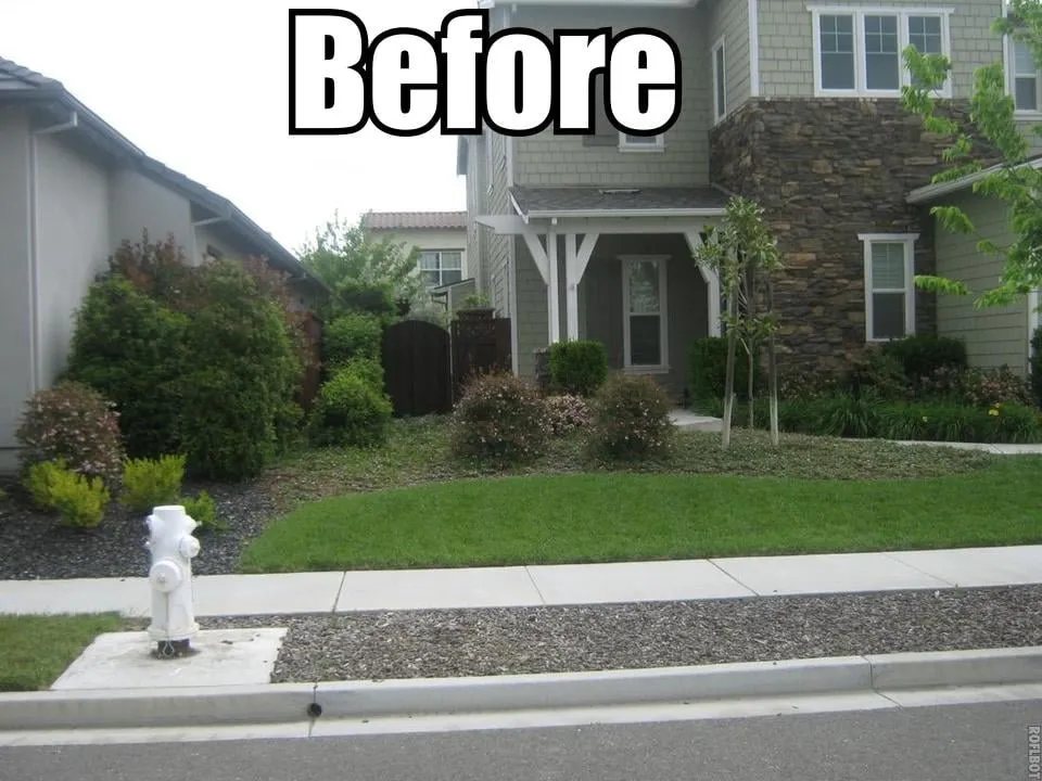 Local landscaping services for outdoor upgrades in Vacaville, CA by Hall Landscape Design