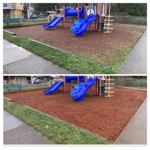 Local yard cleanup service near you across Bremerton, WA - Hall of Fame Landscaping