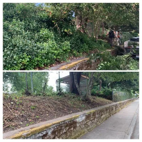 Affordable outdoor landscaping for homes in Bremerton, WA by Hall of Fame Landscaping