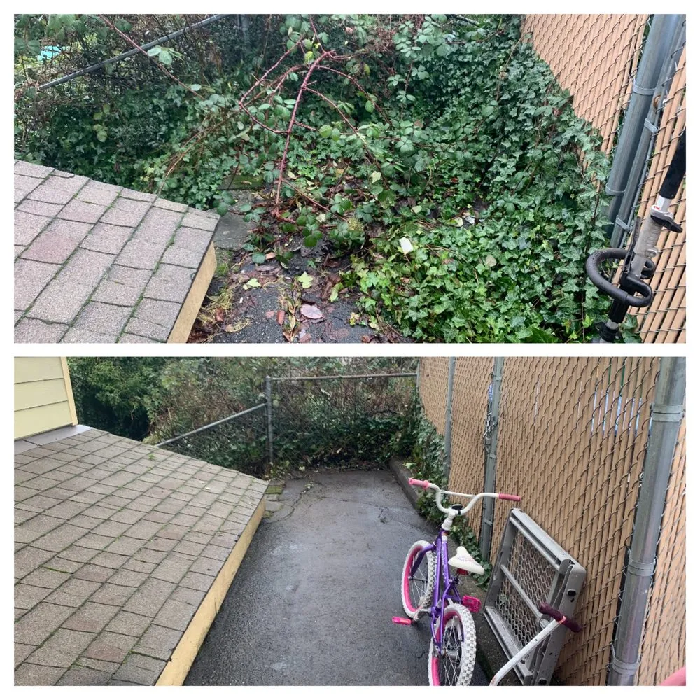 Trusted landscape design experts serving Bremerton, WA - Hall of Fame Landscaping