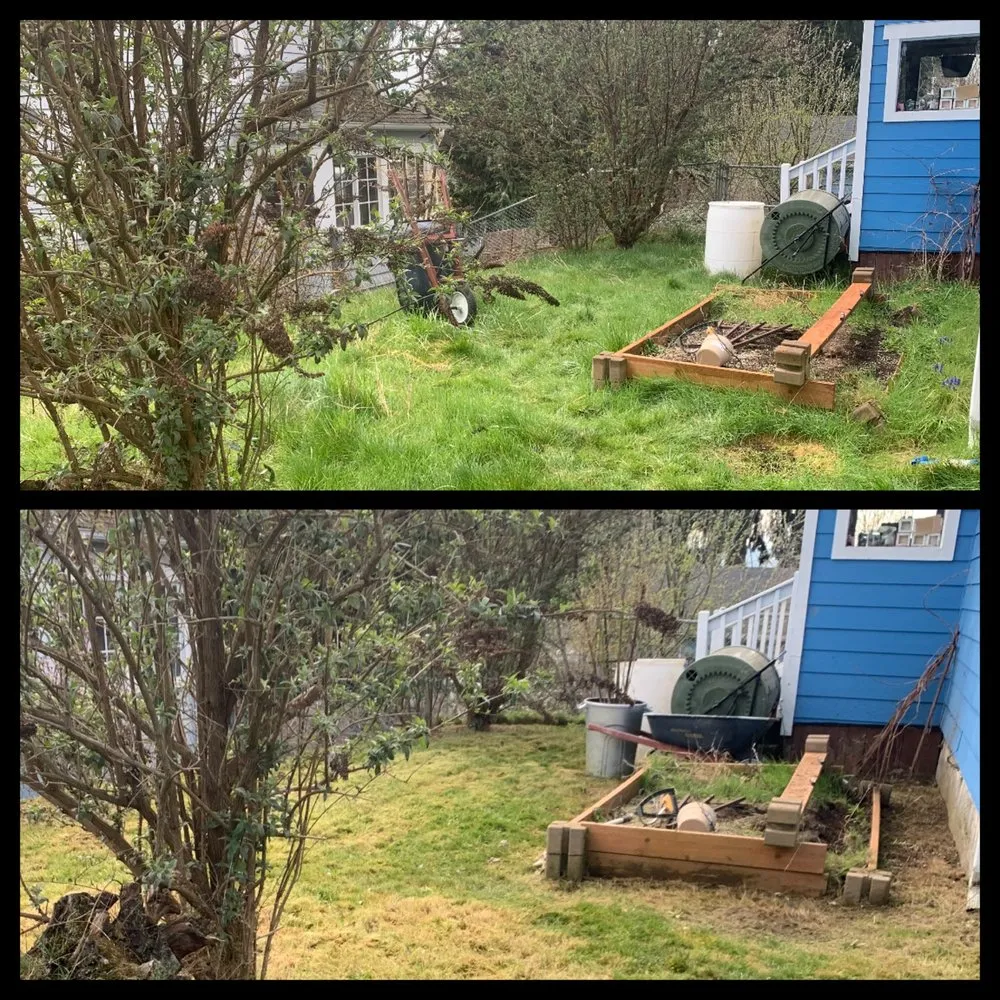 Expert landscaping services in Bremerton, WA by Hall of Fame Landscaping