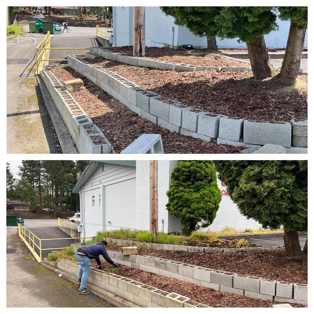 Trusted lawn care service for residential properties across Bremerton, WA - Hall of Fame Landscaping