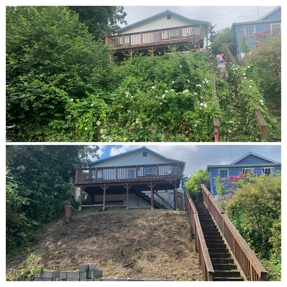 Local yard cleanup service for homes in Bremerton, WA by Hall of Fame Landscaping