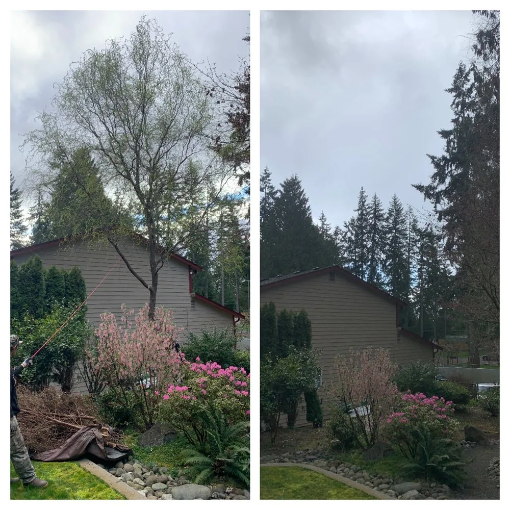 Expert landscape design for year-round maintenance in Bremerton, WA by Hall of Fame Landscaping
