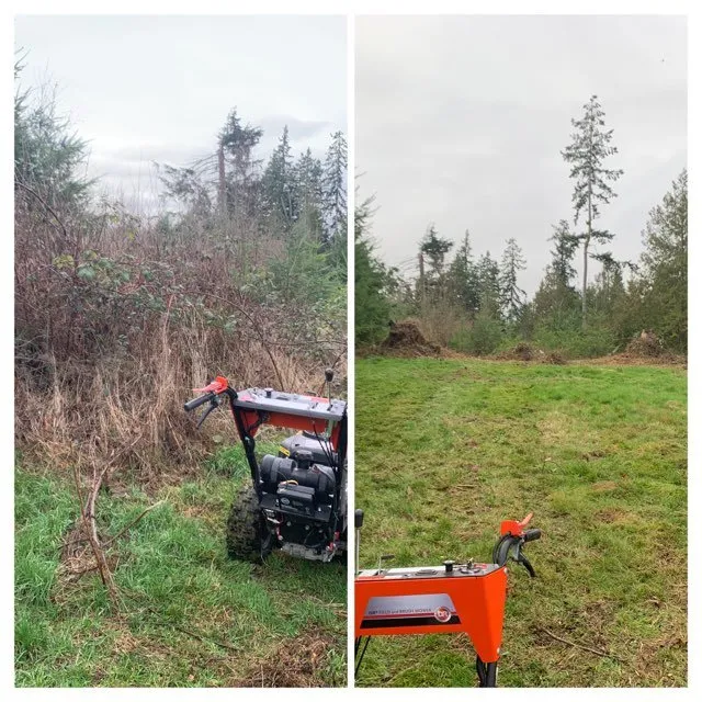 Custom yard cleanup service experts serving Bremerton, WA - Hall of Fame Landscaping